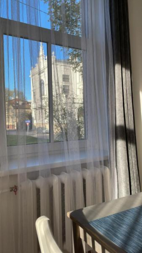 Spacious Ausekla apartment